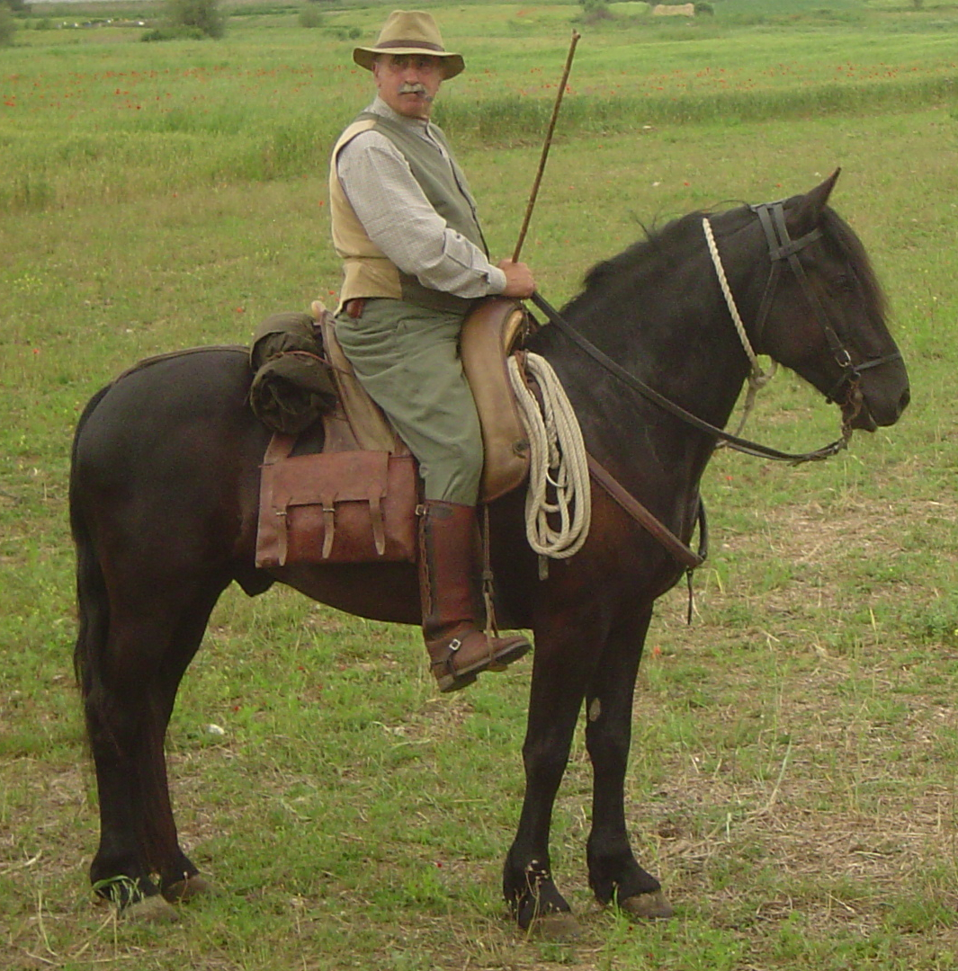 Passeggiate a cavallo